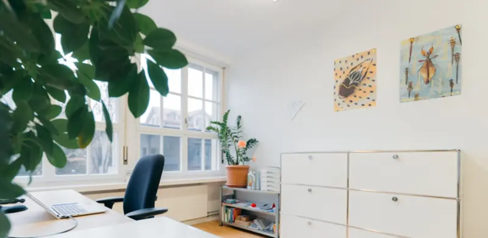 Bureau moderne avec bureau, chaise de bureau, plantes, étagères et deux tableaux abstraits accrochés au mur.